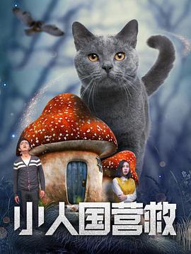 河北凌波赛鸽公棚春棚